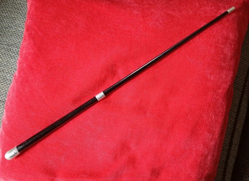 1905 silver mounted - mounted, conductors