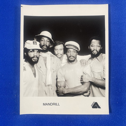 Mandrill promotional photo - mandrill,