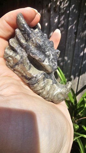 Large pyrite crystal dragon - pyrite,