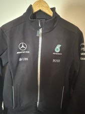 Official Mercedes Formula 1