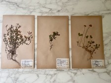 Set Of 3 Rare vintage Swedish