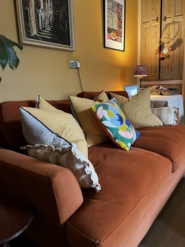 Joules for dfs velvet sofa - dfs,