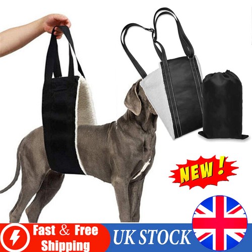 Pets dog mobility aids support - mobility,