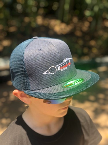Formula vee victoria snapback - vee,