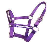 Miniature Horse Nylon Halter