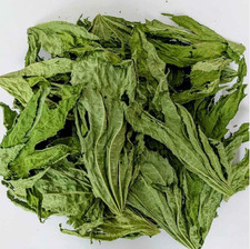 100+ Ricinus Communis Dried