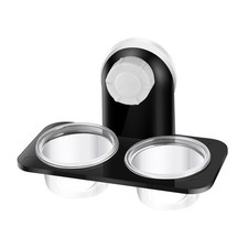 Gecko Food Holder Feeding