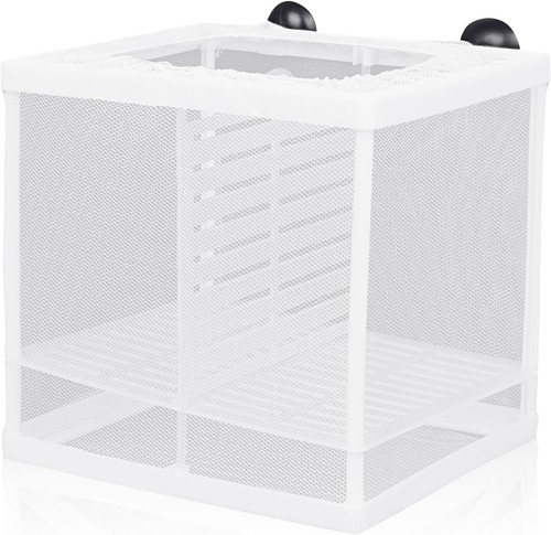 Aquarium breeding box fish - breeding,