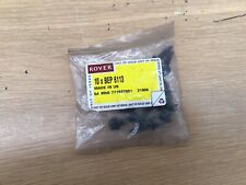 Austin Maestro Van rear door