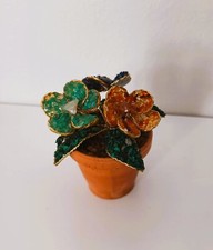 South African Ornamental