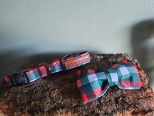 Brand New xs Dog Collar And
