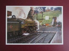 MALCOLM ROOT  9.20" x 6.20"