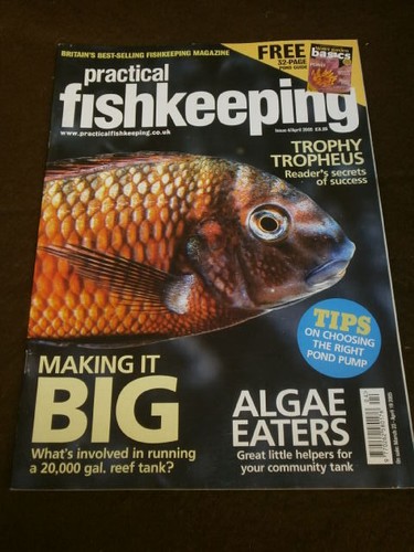 Practical fishkeeping algae - practical,