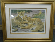 FRAMED PRINT - Mothers Pride -
