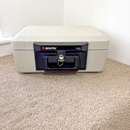 Sentry grey model - 1100, storage