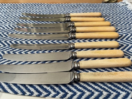 Dinner knives andfaux bone - knives,
