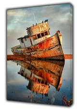 Point Reyes Shipwreck  Rustic