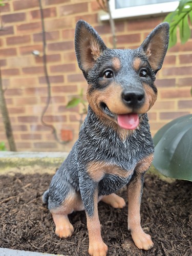 Blue heeler dog ornament - blue, resin