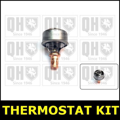 Thermostat kit for renault - thermostat,