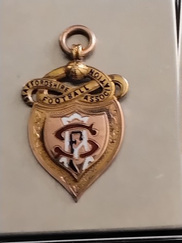 9ct gold staffordshire senior - gold,