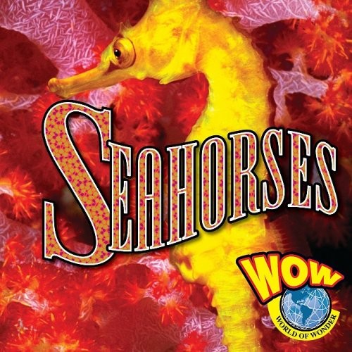 Seahorses - , of