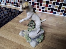 teviotdale dog 6.5 ins tall