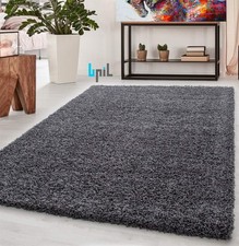 Fluffy Rugs Anti-Slip Large