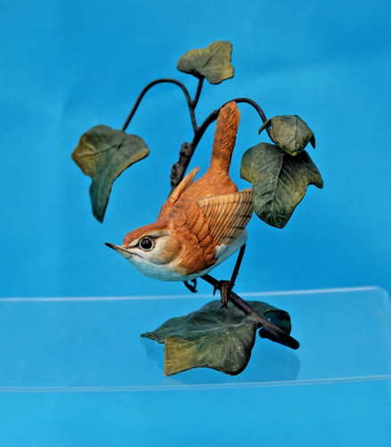 Wren ivy border fine - on,