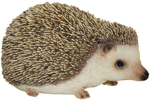 Vivid arts pet - vivid,