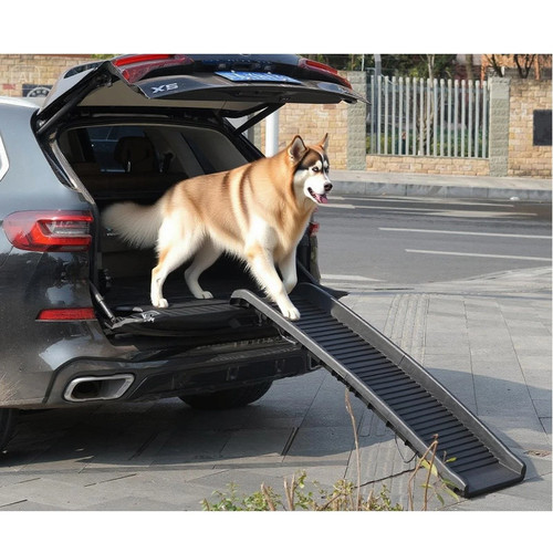 Dog pet ramp plastic - pet,