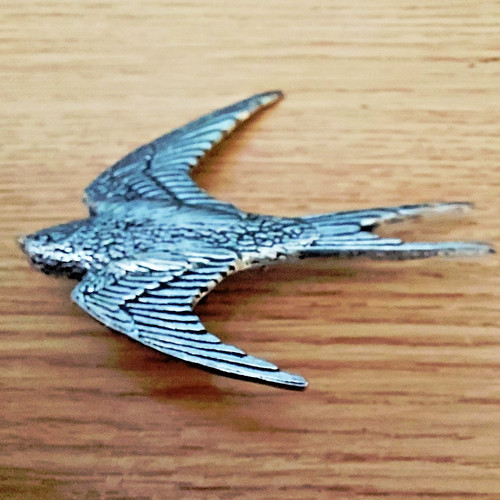 Swallow swift in - swallow,