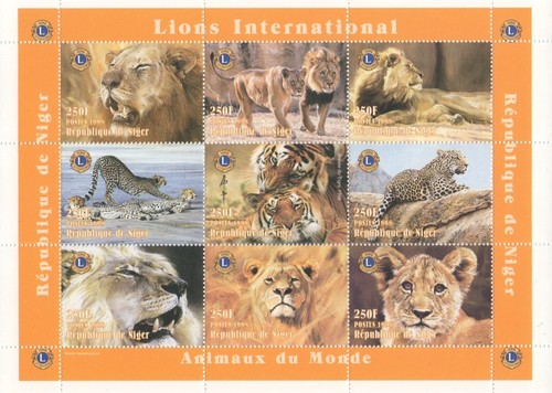 Animals the world lion - animals,