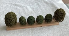 Model Railway trees - OO Gauge