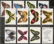 TONIBELL-FULL SET- BEAUTIFUL