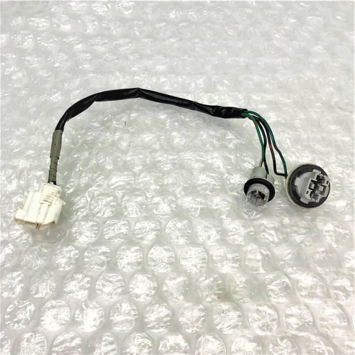 Rear bumper lamp bulb holders - lamp,