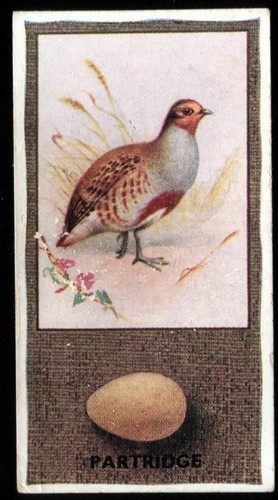 Tobacco card godfrey - card,,