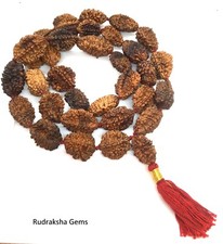 2 TWO MUKHI RUDRAKSHA KANTHA