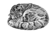 Gary Hodges "Serenity" Signed