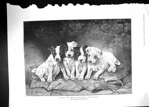 Original old antique - original, print