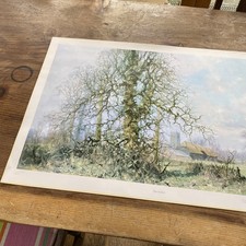 Large Vintage Limited Edition Signed David Shepherd Print Titled This England