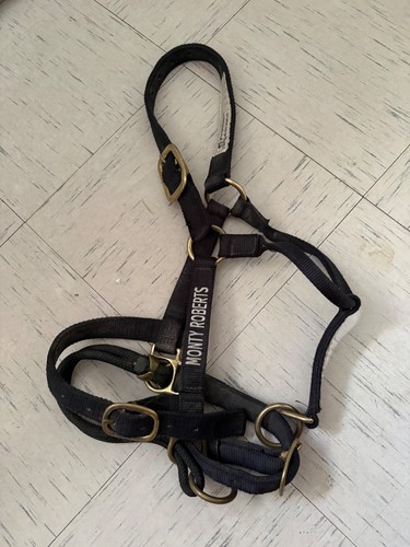 Monty roberts medium - monty,