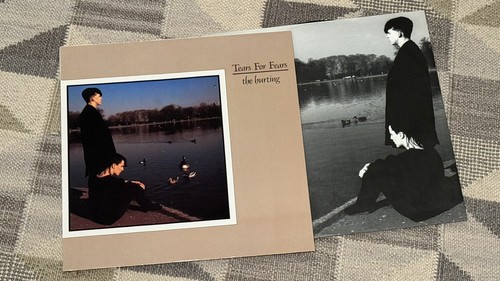 Tears for fears the hurting - tears,