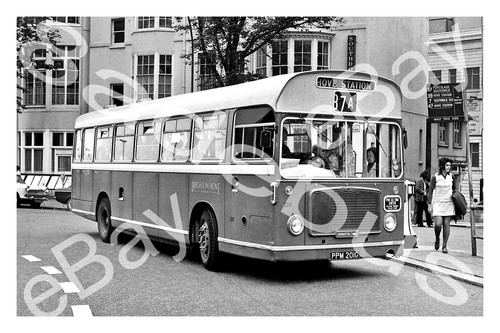 Bus photograph brighton hove - photograph,