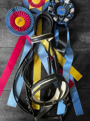 Classic dressage double - classic,