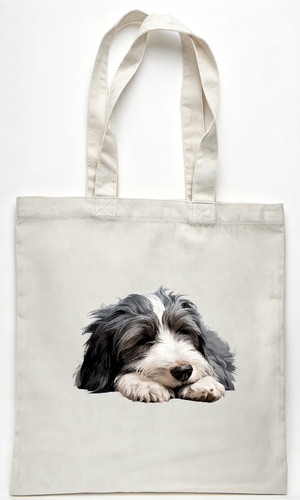 Bearded collie picture - bearded,