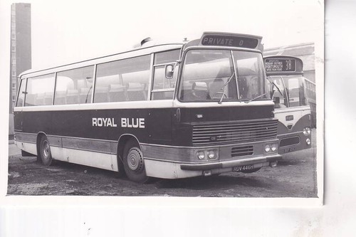 Royal blue bristol - -, /