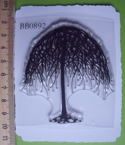 Medium weeping willow - tree,