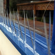 Bird Pigeon Plastic Spikes 10m