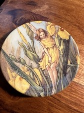 Royal Worcester Flower Fairies