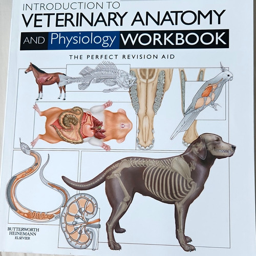 Introduction veterinary - introduction, to